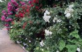 Туры в отель Asteriya Guest House