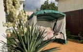 Туры в отель Asteriya Guest House