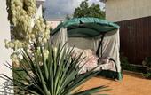 Туры в отель Asteriya Guest House