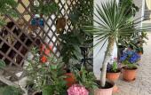 Туры в отель Asteriya Guest House