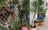Туры в отель Asteriya Guest House