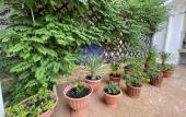 Туры в отель Asteriya Guest House