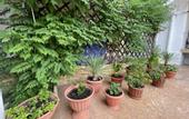 Туры в отель Asteriya Guest House