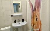 Туры в отель Krolich'ya Nora Hostel