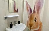 Туры в отель Krolich'ya Nora Hostel