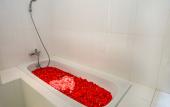 Туры в отель The Diana Suite Hotel