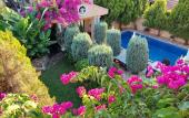 Туры в отель Dalyan Palace Villa