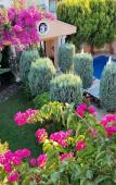 Туры в отель Dalyan Palace Villa