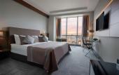 Туры в отель Radisson Blu Hotel Ankara Cankaya
