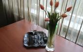 Туры в отель De Muazel Spa-Hotel