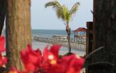 Туры в отель Mango Beach Resort