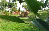 Туры в отель Mango Beach Resort