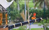 Туры в отель Seadust Cancun Family Resort