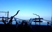 Туры в отель Kohchang 7 seaview bungalow