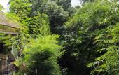 Туры в отель Green View Ubud Hostel Bali