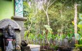 Туры в отель Green View Ubud Hostel Bali