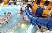 Туры в отель Great Wolf Lodge