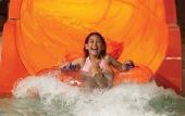 Туры в отель Great Wolf Lodge