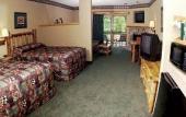 Туры в отель Great Wolf Lodge