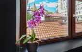 Туры в отель Skazka Asia Hotel