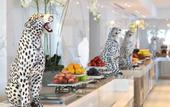 Туры в отель Grecotel Corfu Imperial Exclusive Resort
