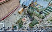 Туры в отель House 52 Boutique-Hotel