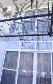 Туры в отель Bal?m Sultany