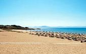 Туры в отель Grecotel Ilia Palms