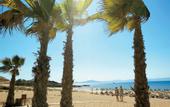 Туры в отель Grecotel Ilia Palms