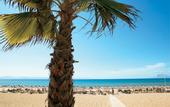 Туры в отель Grecotel Ilia Palms