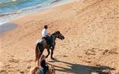 Туры в отель Grecotel Ilia Palms