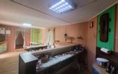 Туры в отель Altaj Voyazh Guest House