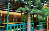 Туры в отель Altaj Voyazh Guest House