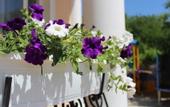 Туры в отель Equator Hotel