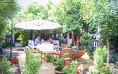Туры в отель Umut Otel & Beach