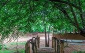 Туры в отель Wildescape Polonnaruwa