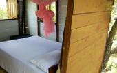 Туры в отель Wildescape Polonnaruwa