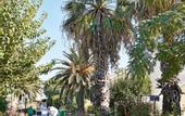 Туры в отель Grecotel Casa Paradiso