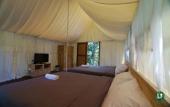 Туры в отель Ubud Tropical - Hostel