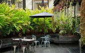 Туры в отель Sanae' Townhouse Chiang Mai