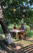 Туры в отель Areni Lodge Guest House & Cottage