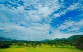 Туры в отель Victoria Golf & Country Resort