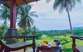 Туры в отель Victoria Golf & Country Resort