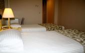Туры в отель Green Anka Hotel