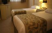 Туры в отель Green Anka Hotel