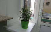 Туры в отель SV Hostel