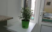 Туры в отель SV Hostel