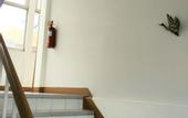 Туры в отель White Lodge Hotel Bangkok