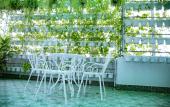 Туры в отель HUYNH DUC 2 Hotel