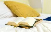 Туры в отель Apartments Millionnaya 11